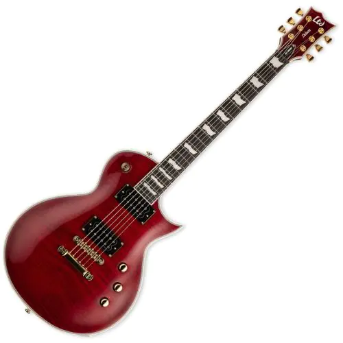 ESP LTD EC-1000T CTM Guitar See Thru Black Cherry sku number LEC1000TCTMFMSTBC