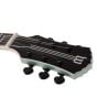 Wylde Thorax Tortoise Psychic Bullseye Gangrene Guitar sku number SCHECTER4549