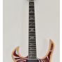 Wylde Audio Goregehn Cocobolo Psychic Bullseye Guitar B0027 sku number SCHECTER4576-B0027