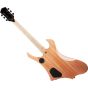 Wylde Audio Goregehn Cocobolo Psychic Bullseye Guitar sku number SCHECTER4576